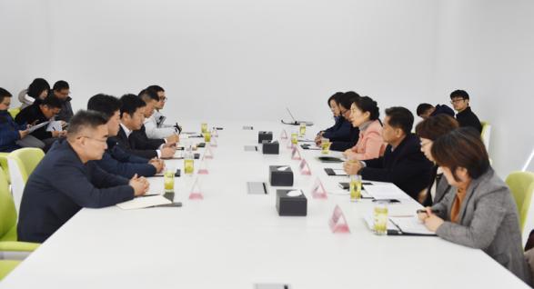 常州市長盛蕾調(diào)研安靠智電